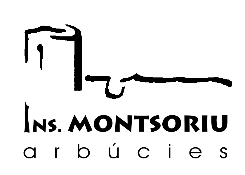 IES Montsoriu
